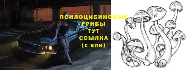 стаф Балахна